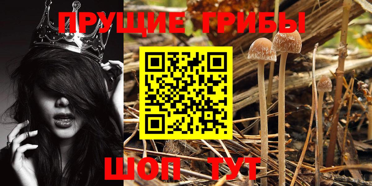 Галлюциногенные грибы Magic Shrooms Усолье-Сибирское