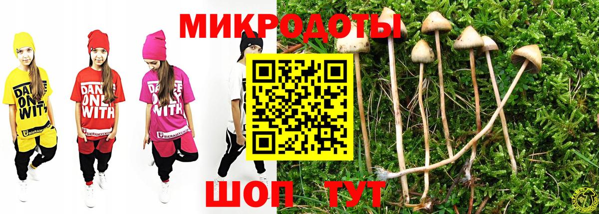 Псилоцибиновые грибы мицелий  Псилоцибиновые грибы Psilocybine cubensis  Усолье-Сибирское  Вход с VPN 
